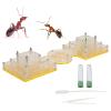 Nest House Acrylic Castle Villa Farm House Moisturizing Water Tower for Feeding Science Education Toy for Kids Parents Observation High Transparency Durable 24x8cm view 4