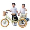 JYDQMOLS Carrying Passengers 3 Wheel Cruiser Bike with Non Slip Footrest/Storage Basket, Modern Twin Tricycle for Toddlers/Boy/Girl/Double People, High Carbon Steel Safety Bicycle Trikes(Yellow,14") view 1
