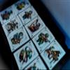 Joker Orchestra by Yoan Tanuji & Magic Dream view 3