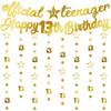 13th Birthday Decorations Banner Girls - 10 Pcs Pre-Strung Gold Glitter Official Teenager Banner Garland Hanging Streamer Bunting for Boys 13 Years Old Party Decor view 1