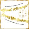 13th Birthday Decorations Banner Girls - 10 Pcs Pre-Strung Gold Glitter Official Teenager Banner Garland Hanging Streamer Bunting for Boys 13 Years Old Party Decor view 3