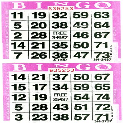 American Games Bingo Paper Game Cards - 2 Cards - Purple - 750 Sheets per Pack, Made in USA