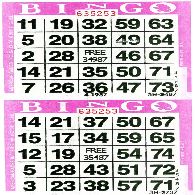 American Games Bingo Paper Game Cards - 2 Cards - Purple - 750 Sheets per Pack, Made in USA