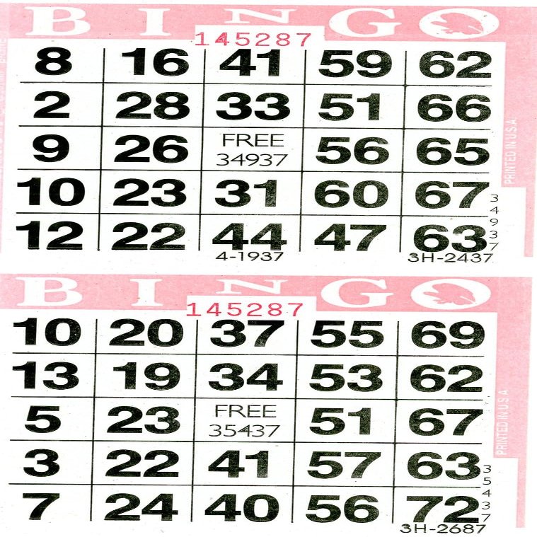 American Games Bingo Paper Game Cards - 2 Cards - Pink - 750 Sheets per Pack, Made in USA