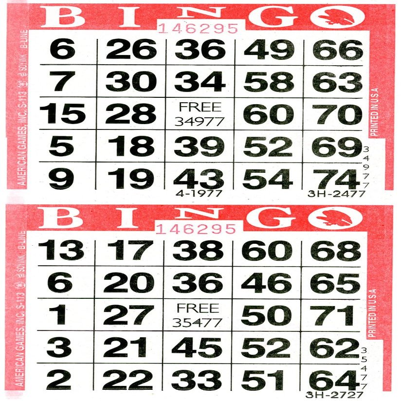 American Games Bingo Paper Game Cards - 2 Cards - Red - 750 Sheets per Pack, Made in USA