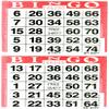 American Games Bingo Paper Game Cards - 2 Cards - Red - 750 Sheets per Pack, Made in USA view 1