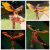 NevaFlew Articulated Phoenix  Fully Posea Collectible Desk Decor Flexible Wings & Tail | Premium PLA Fantasy Sculpture (red/Black-Single, Large Single Color) view 3