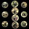 10 Pieces/Set Panda Commemorative Coins - A Birthday Gift for Nature Lovers, a Gift for Collectors, a Party Gift, Birthday Gift, (Golden) view 1