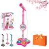 2026 New The All-in-One Microphone Toy, Kids Microphone with Stand Adjustable, Speaker & Led Lights, Move to Play Kids Karaoke Microphone for Singing, Boys & Girls, (Pink) view 1