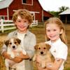 1000Pcs Farm Animal Stickers for Kids, Children Reward Stickers for Teaching Rewards, Barn Cow Pig Dog Chicken Stickers, Boys Girls Teens Waterbottle Scrapbook Laptop Skateboard Computer view 2