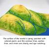 3D Plate Earth Tectonics Model, Contour Topographic Model, Geographic Tectonic Plate, School Geology Class Teaching Aids for Science and Education view 3