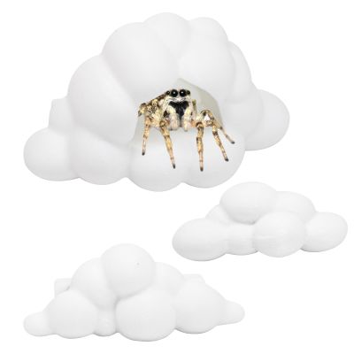 3Pcs Jumping Spider Enclosure Accessories, White Feeder Dish, Magnetic Mounting for Climbing, Spider Enclosure Resting and Exploration