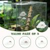 3Pcs Jumping Spider Enclosure Accessories, White Feeder Dish, Magnetic Mounting for Climbing, Spider Enclosure Resting and Exploration view 3