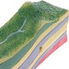 3D Plate Tectonics Model, Geology Topography Landform Science Models, Plate Structure and Surface Morphology Model, for School Teaching Learning Display. view 4