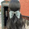 New Double-Layer Satin Hair Accessory for Girls Featuring Handcrafted Bowknots, Delicate Heat-Set Rhinestones, Tassels, and an Elegant Spring Clip (Light Green) view 4