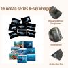 16 Animal X-Ray Set, Educational Science Kit for Kids to Explore Bone Structures for Lightstand Accessories, Light and Shadow Areas (Ocean Series) view 4