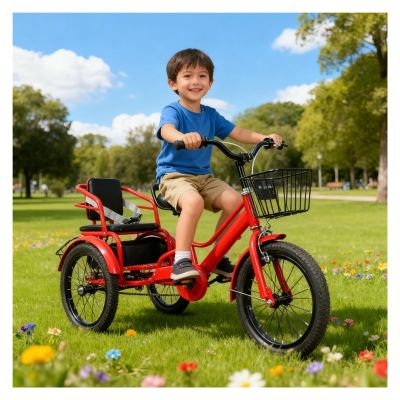 SRNSAEB 3-11 Years 3 Wheel Bike with Child Seat 14" 16" 18" 20", Three Wheel Cruiser Bike Two Seater Tricycle with Adjustable Height Seats & Handle, Sturdy Bicycle Trikes(Red,20in)
