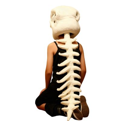 Koconh Spinosaurus Plush Dino Outfit, Spinosaurus Costume for Kids, Dinosaur Skeleton Plush Costume for Christmas (White,Child(29inch))
