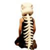 Koconh Spinosaurus Plush Dino Outfit, Spinosaurus Costume for Kids, Dinosaur Skeleton Plush Costume for Christmas (White,Child(29inch)) view 1