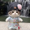 Suitable for 10-20cm Trend Dolls, Different Ethnic Styles Doll Clothes (Without Dolls) (17cm Blue Butterfly Kimono) view 4