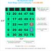 Carewon 100 Bingo Cards, Large 4.5" x 4.5", Green (1 of 8 Colors), Paper Bingo Sheets, Disposable or Reusable for Daubers or Chips view 2