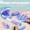 CCYLEZ Doctor Toy Set with 9 Dentist Tools, Educational Role Playing Toys for Kids Over 3 Years Old, Develop Empathy, Suitable for Parties, ParentChild Communication (Green) view 4