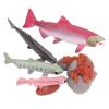 GOWENIC Vivid Growth Cycle Model for Sea Animals Material, Educational Toys for Children Over 3 Years Old view 1