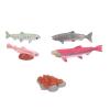 GOWENIC Vivid Growth Cycle Model for Sea Animals Material, Educational Toys for Children Over 3 Years Old view 3