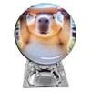 WikoNasc 2.7" 3DCrystal Ball Video Player, Memory Orb, Personalized Electronic Display Digital Memory Display Sphere Lamp, Uploadable Videos & Photos, DIYGift for Anniversary, Birthday view 4