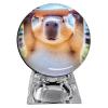 WikoNasc 2.7" 3DCrystal Ball Video Player, Memory Orb, Personalized Electronic Display Digital Memory Display Sphere Lamp, Uploadable Videos & Photos, DIYGift for Anniversary, Birthday view 4