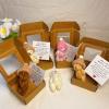 4 Pieces Mini Plush Bear in Box, Small Bear Plush with Inspirational Card, Cute Cartoon Doll, for Desk Shelf Room Bedroom view 3