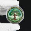 Tree of Life Challenge Coin 5-Pack Joshua 1:9 Bible Verse, Recovery & Growth Theme, Inspirational Christian Collectible with Acrylic Display Cases view 4