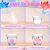 24 Pack Valentines Day Gifts for Kids - Crystal Growing Science Kit with Valentine Cards, Unique Class Classroom Exchange Cards, School Party Favors and Goodie Bags Stuffers for Girls Boys view 4
