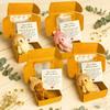 4pcs Bear in A Box with A Hat, Pocket Bear, with Inspirational Card, Cute Bears Stuffed Animal, Kids Collectible Doll, for School Birthday Nursery Bedrooms Christmas view 1