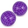 2 Pack Purple Spider Web Themed Beach Ball Balloons, 7.9 inches Beach Ball for Summer Swimming Pool, Spider Balloon Decorations for Birthday Summer Party Supplies view 1