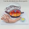 5X Magnified Female Uterus and Ovary Model,Realistic Female Reproductive System Anatomical Model,for Education Study Or Teaching,33X23X22Cm view 2
