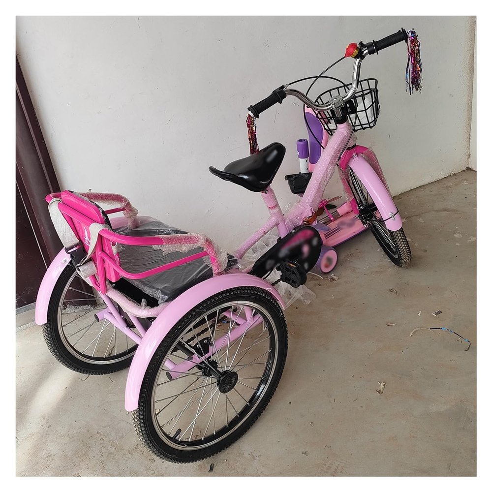 Soft Comfortable Two Seater Bicycle for Kids/Children's/Teen/Beginners, Adjustable 3 Wheel Tricycle with Basket & Back Seat/Deepen Storage Basket, Foldable Three Wheel Trikes(Pink,16")
