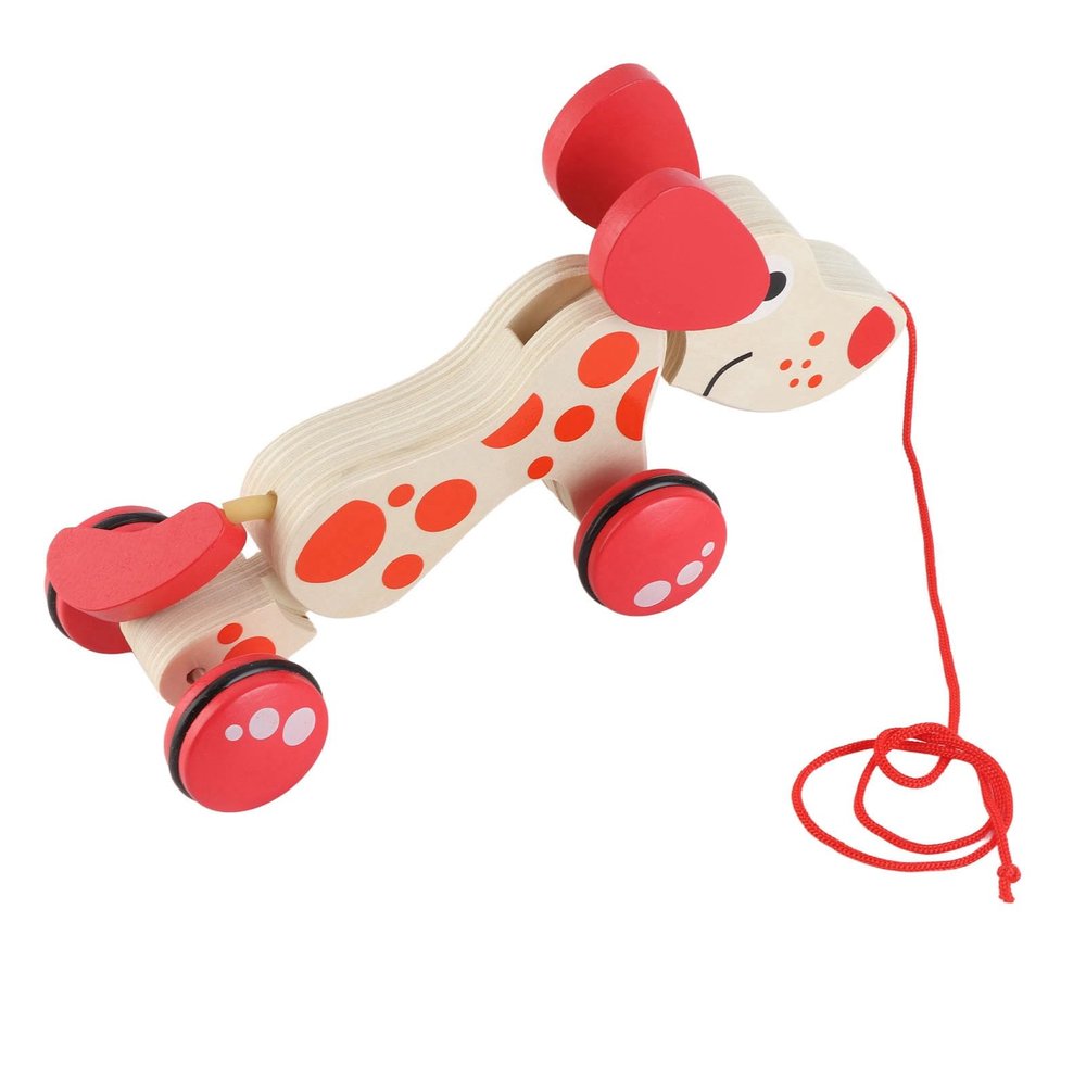 Qudinip Wooden Pull Toy Puppy, Push Pull Walk Along Toy for Toddlers with Rope and Wooden Bead, Learning Standing Rolling Walking, Hand Eye Coordination Balance Confidence (Puppy Pattern)