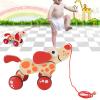 Qudinip Wooden Pull Toy Puppy, Push Pull Walk Along Toy for Toddlers with Rope and Wooden Bead, Learning Standing Rolling Walking, Hand Eye Coordination Balance Confidence (Puppy Pattern) view 3