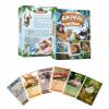 Aamango Animal World  63 Educational & Fun Trump Cards | Learn Animal Facts, Strength, Speed & Lifespan | STEM-Aligned Wildlife Learning Game | Eco-Friendly view 3