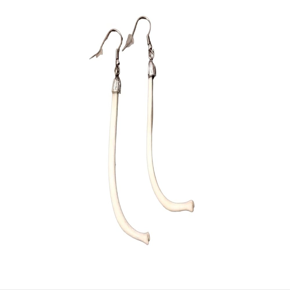 Racoon Balculum Earings- Set of Two Real Racoon Dick Bone Earrings