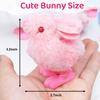 Babelshar 4 PCS Easter Wind Up Chick Toys Plush Jumping Bunny Toy Hopping Animals Clockwork Windup Rabbit Birthday Easter Basket Stuffers Party Favors for Kids Toddlers view 2