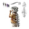 2026 New Silly Dino Plush, Dinosaur Skeleton Costume, Spine Extension and Sound Effects for Theme Parties (Gray 29.5in) view 1