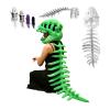 2026 New Silly Dino Plush, Dinosaur Skeleton Costume, Spine Extension and Sound Effects for Theme Parties (Green 45.2 in) view 1