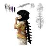 2026 New Silly Dino Plush, Dinosaur Skeleton Costume, Spine Extension and Sound Effects for Theme Parties (Black 29.5in) view 1