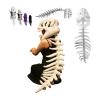 2026 New Silly Dino Plush, Dinosaur Skeleton Costume, Spine Extension and Sound Effects for Theme Parties (White 45.2 in) view 1