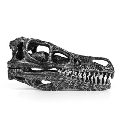 WLNTDOLA Resin Velociraptor Skull Model Dinosaur Skeleton Figure Decor