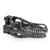WLNTDOLA Resin Velociraptor Skull Model Dinosaur Skeleton Figure Decor view 1
