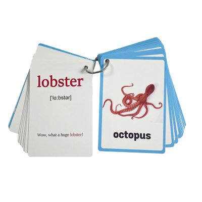 20Sheet Sea Animal Flashcards Toddler Early Learning Word Card 11cmx8cm Marine Life Teaching for Kindergarten English Learning