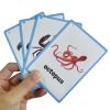 20Sheet Sea Animal Flashcards Toddler Early Learning Word Card 11cmx8cm Marine Life Teaching for Kindergarten English Learning view 4